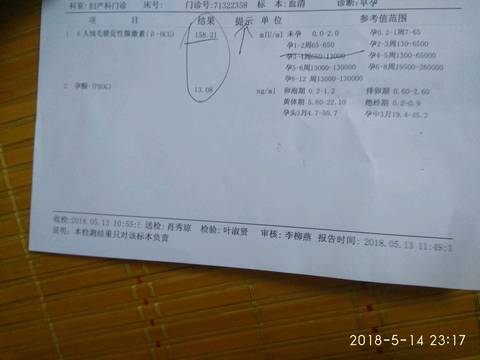 journal_insert_pic_1011921017