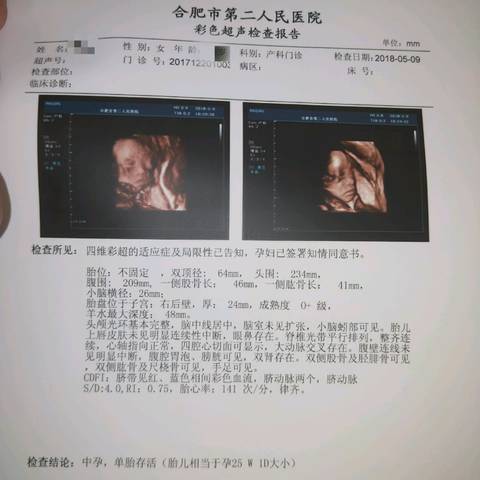 journal_insert_pic_1011840138