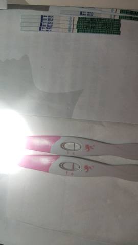 journal_insert_pic_1012328204