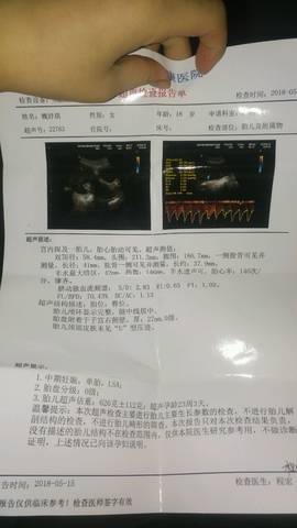 journal_insert_pic_1012933111