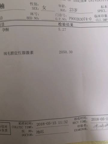 journal_insert_pic_1013886338