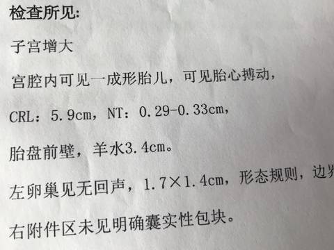 journal_insert_pic_1013694058