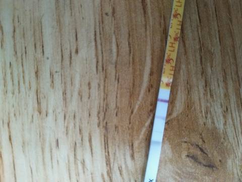 journal_insert_pic_1014057190