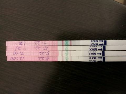 journal_insert_pic_1017896699