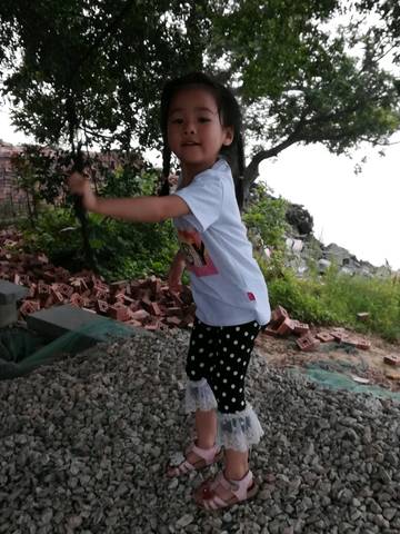 journal_insert_pic_1018491003