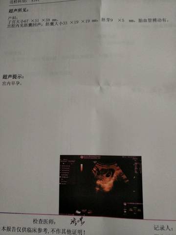 journal_insert_pic_1018897816