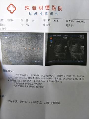 journal_insert_pic_1020365854
