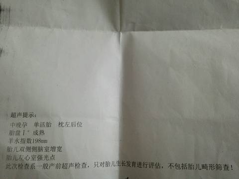 journal_insert_pic_1020448430