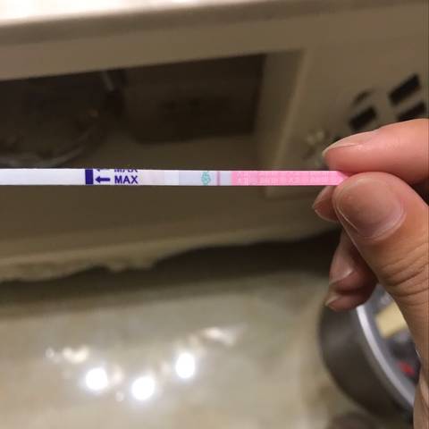 journal_insert_pic_1020555105