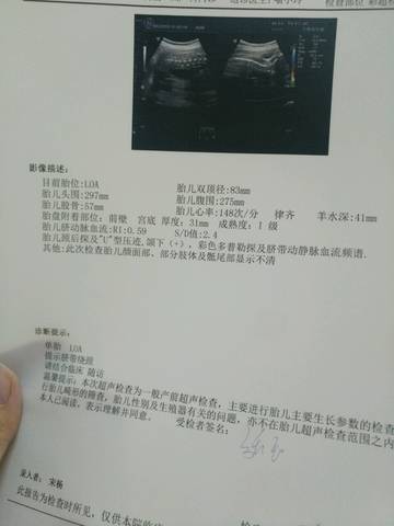 journal_insert_pic_1020856455