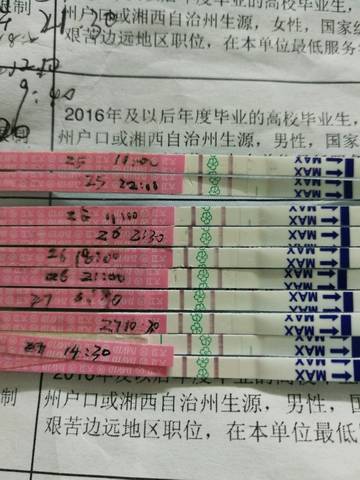 journal_insert_pic_1021243167