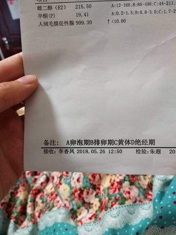 journal_insert_pic_1021170973