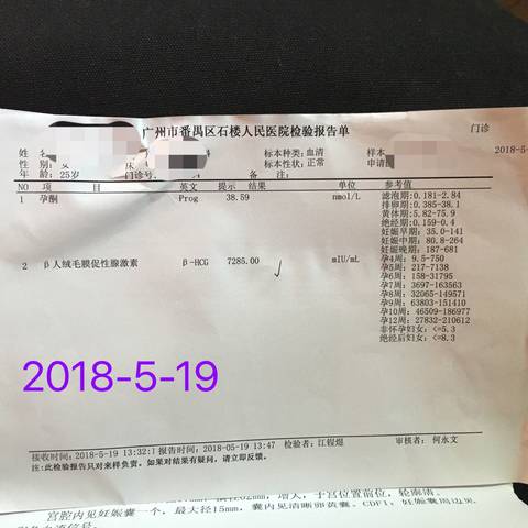 journal_insert_pic_1021818156