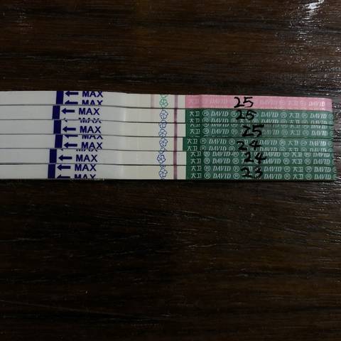 journal_insert_pic_1022123520