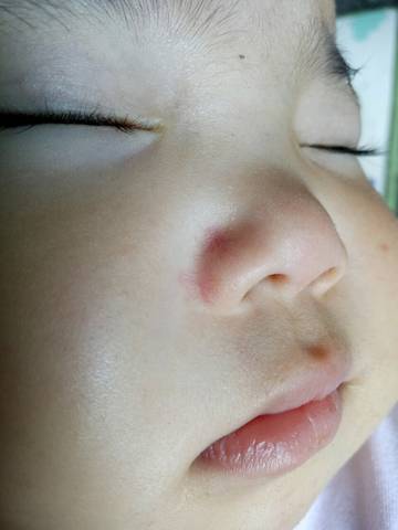 journal_insert_pic_1021753600