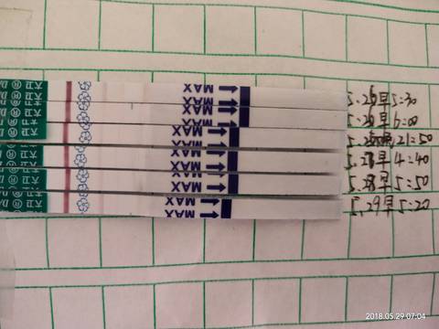 journal_insert_pic_1022673942
