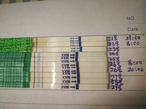 journal_insert_pic_1022379430