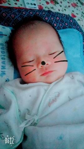 journal_insert_pic_1023064526