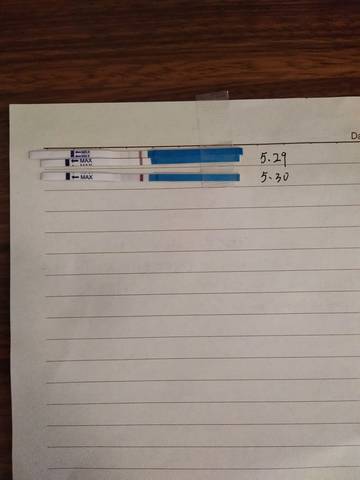 journal_insert_pic_1023072299