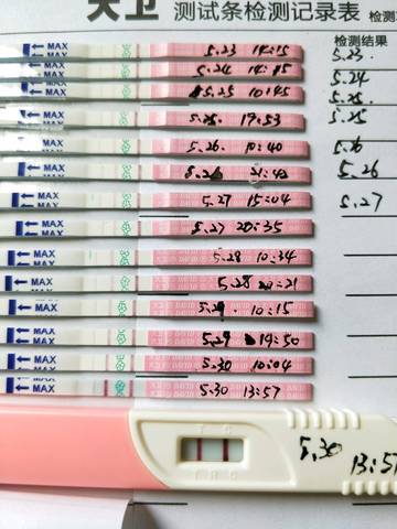 journal_insert_pic_1023338301