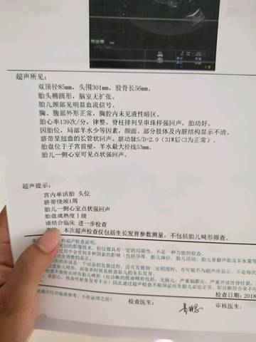 journal_insert_pic_1024163972