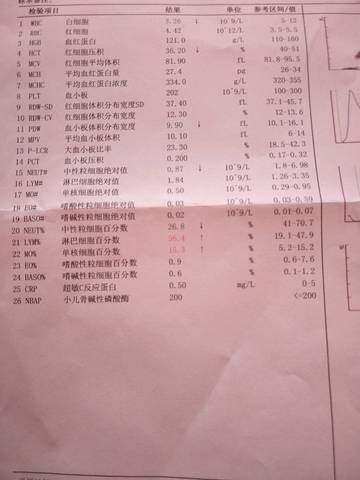 journal_insert_pic_1023817924
