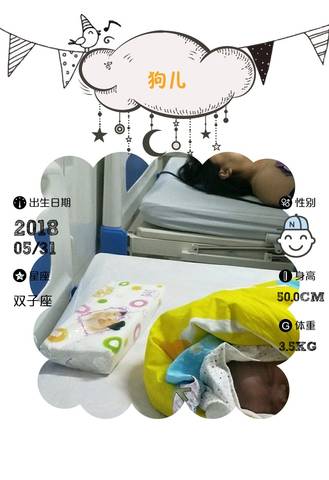 journal_insert_pic_1024814729