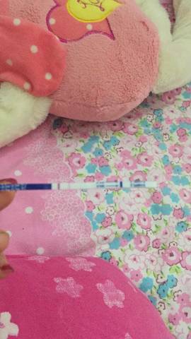 journal_insert_pic_1024954774