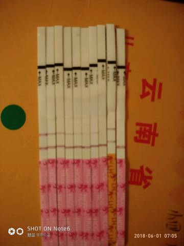 journal_insert_pic_1024541274