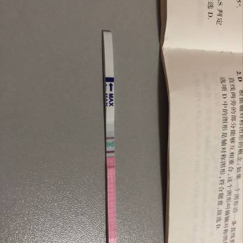 journal_insert_pic_1025844671