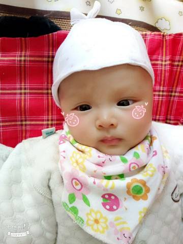 journal_insert_pic_1025955922