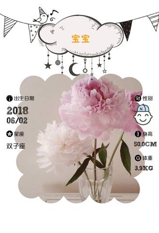 journal_insert_pic_1026649654