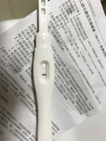 journal_insert_pic_1026790653