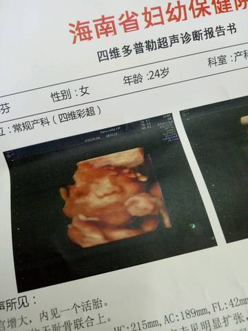 journal_insert_pic_1027186590