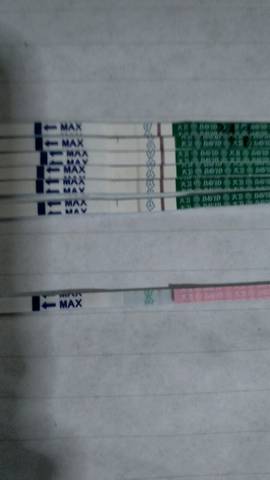 journal_insert_pic_1027489430