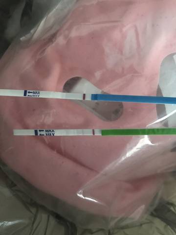 journal_insert_pic_1027470730