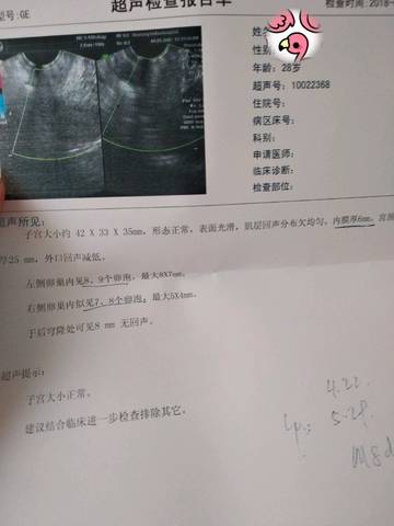 journal_insert_pic_1028182661