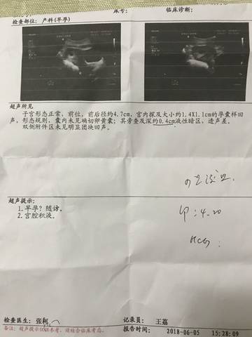 journal_insert_pic_1028377749