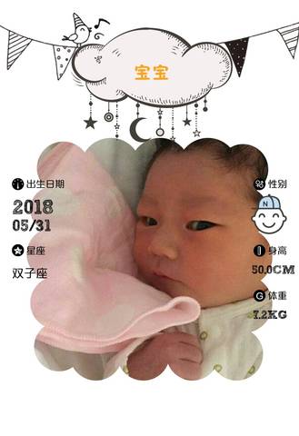 journal_insert_pic_1028220395