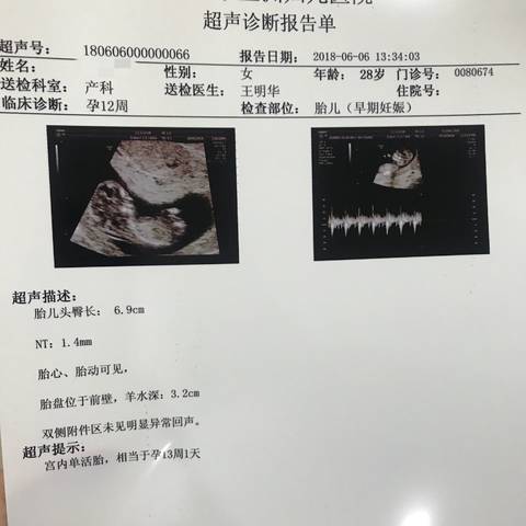 journal_insert_pic_1029028499