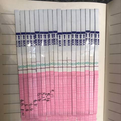 journal_insert_pic_1029266014