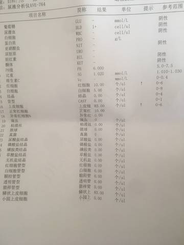 journal_insert_pic_1029435047