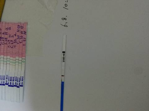 journal_insert_pic_1030553913