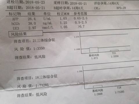 journal_insert_pic_1030057209