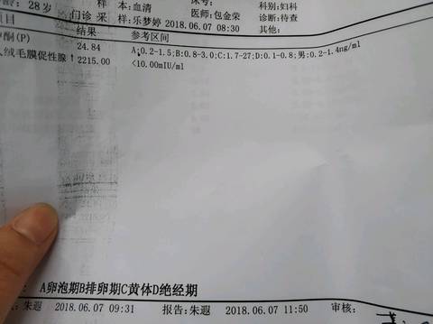 journal_insert_pic_1030060022