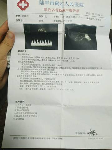 journal_insert_pic_1030537798