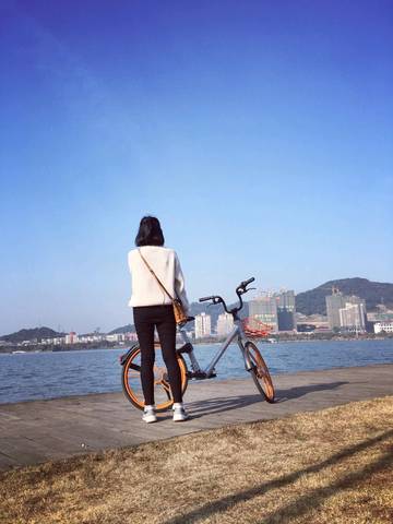 journal_insert_pic_1031305545
