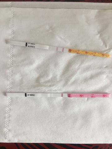 journal_insert_pic_1032982729