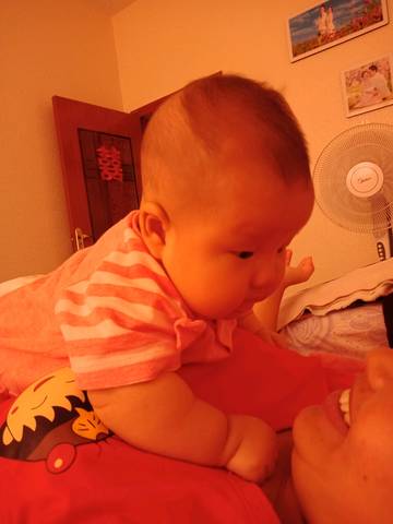 journal_insert_pic_1033917937