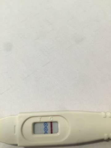 journal_insert_pic_1033671077